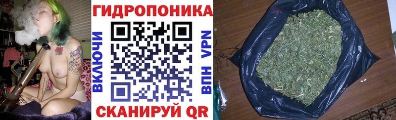 где найти   Буинск  Конопля OG Kush 